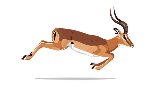 Leaping impala antelope wild african animal running illustration isolated on white background