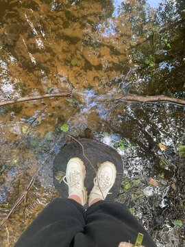 feet on a stump in a brooke