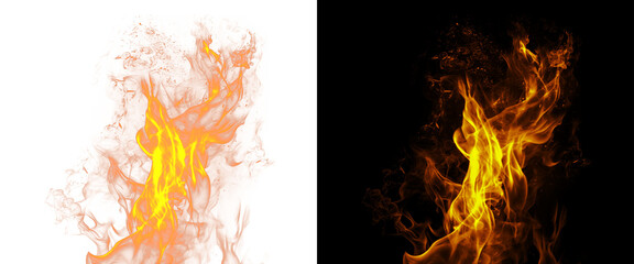 Fototapeta premium Realistic fire flames on black and white background, glowing orange heat blaze, burning campfire element for compositing and design