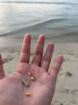 hand on the beach