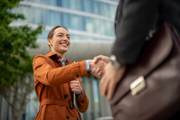 Businesswoman shaking hands with partner during meeting © Jelena