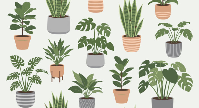 A collection of various potted houseplants, including snake plants, monstera, and fiddle leaf figs, arranged in a decorative pattern.