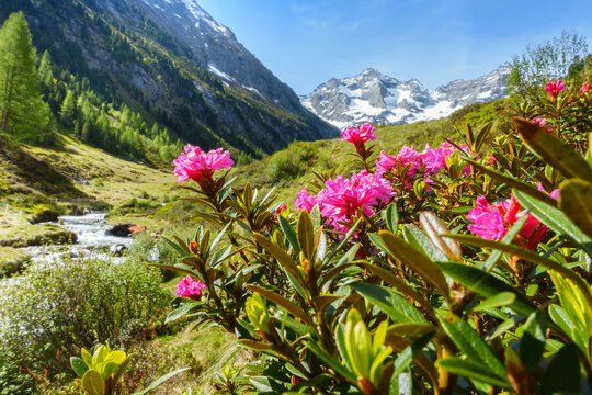 Panorama einer wundersch&ouml;nen idyllischen Berglandschaft in den Alpen von &Ouml;sterreich