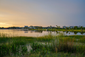 Naklejka premium Amazing Florida nature. Sunset over lake water in southern tropical wetlands