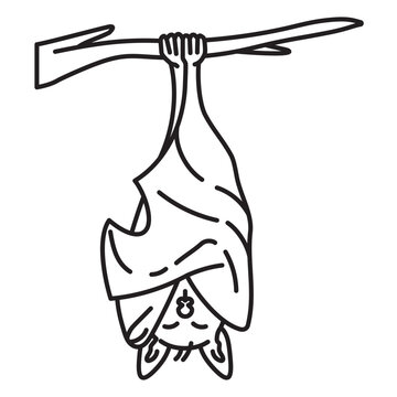 Sleeping bat hanging from stick cartoon vector line icon for Bat Appreciation Day on April 17