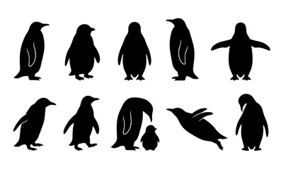Obraz premium Penguin silhouettes set. Vector polar birds standing, swimming, and chick icon.