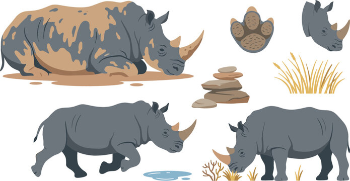 African Rhinoceros Wildlife Vector Illustration Set featuring Running Mud Bathing and Grazing Rhinos with Track Footprint and Savanna Grass Elements