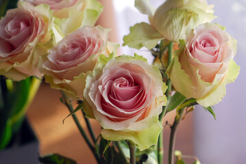 COLORFUL ROSES IN A VASE ON THE TABLE © Piotr