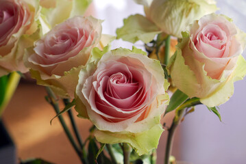COLORFUL ROSES IN A VASE ON THE TABLE © Piotr