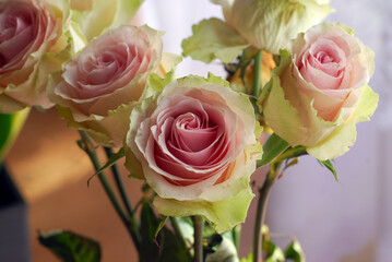 COLORFUL ROSES IN A VASE ON THE TABLE © Piotr