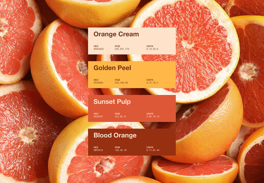 Colour Palette Presentation Template For Brand Guidelines, Moodboard, Color Style Guide Mockups