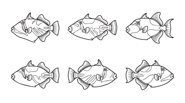 Set of triggerfish icons hand-drawn vector illustrations of ocean marine animals in black and white sketch style sea life triggerfish wildlife illustration isolated collection underwater