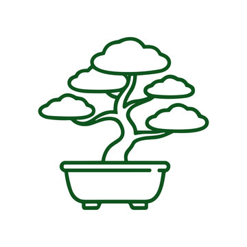 Bonsai Tree in a Pot.