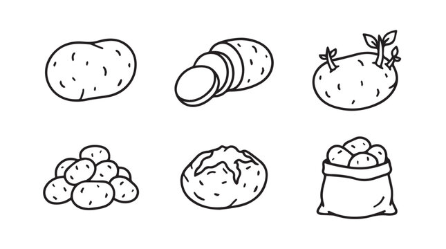 Various potato icons set including whole pieces sliced tubers sprouts and sack of potatoes with vegetable agriculture illustration collection ingredient nutrition monochrome isolated