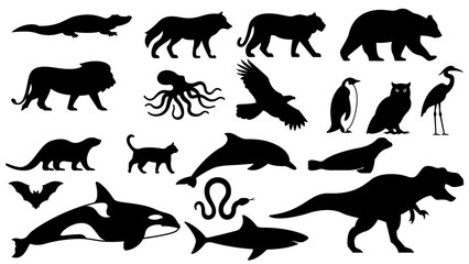 Obraz premium Black silhouettes of various carnivorous animal vector icon set.