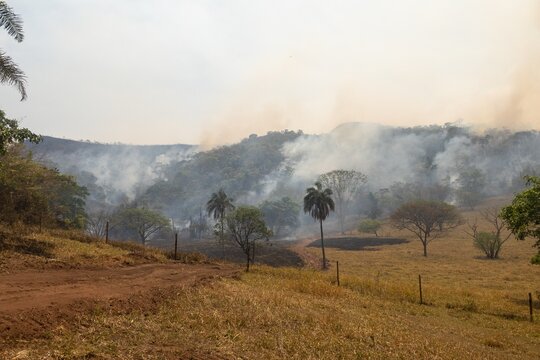 Smoke rises from an active vegetation fire in a rural landscape between the Cerrado and Pantanal biomes of Mato Grosso do Sul, Brazil. Dry conditions associated with El Ni&ntilde;o increase wildfire risk and