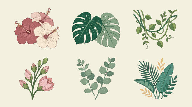 Collection of Tropical Botanical Illustrations and Flowers.