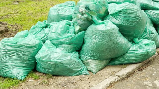 A large pile of green plastic garbage bags sits along the edge of a grass lawn outdoors. The filled sacks await collection in a public park area.