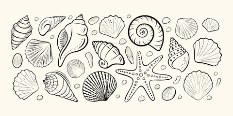 Seashells And Starfish Collection Detailed Sketch Style Illustration © Kanika