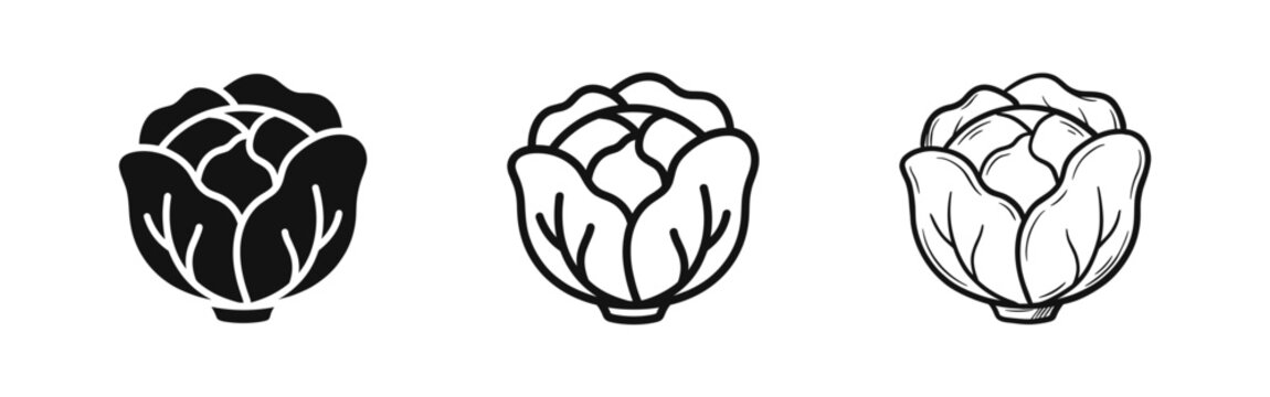 Cabbage or lettuce vegetable icon set in three styles for healthy food and grocery designs