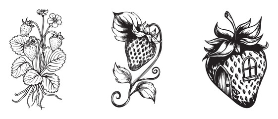 Fototapeta premium Vintage Strawberry Plant Botanical Illustration With Fairy House Black White Line Art Drawing Vector Set