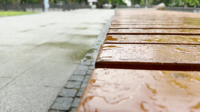 Shiny water droplets rest on the surface of a brown wooden bench. The wet walkway next to it is blurred in the background. A quiet atmosphere fills the empty public park.