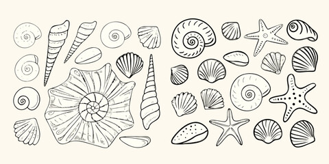 Seashells And Starfish Collection Black And White Sketch Illustration © Minati