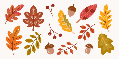 Autumn Leaves And Acorns Colorful Vector Illustration On White Background © Minati