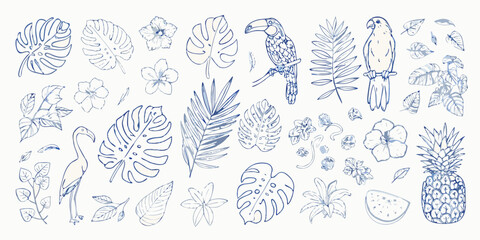 Tropical botanical illustrations featuring monstera leaves hibiscus flowers and birds © Minati