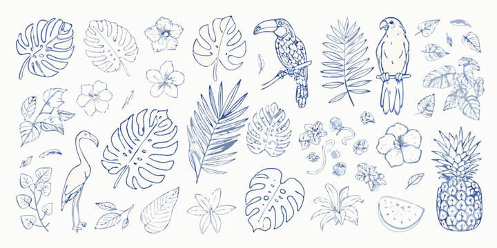 Tropical botanical illustrations featuring monstera leaves hibiscus flowers and birds