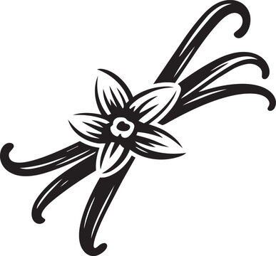 Vanilla pod and flower silhouette isolated on transparent background vector illustration.