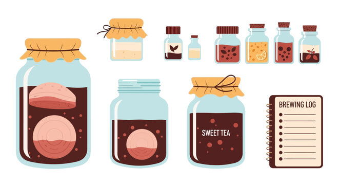 Homemade Fermented Drinks and Jars with Sweet Tea and Kombucha