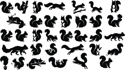 Obraz premium Squirrel Silhouette Pose Set – Forest Animal Black Vector Collection