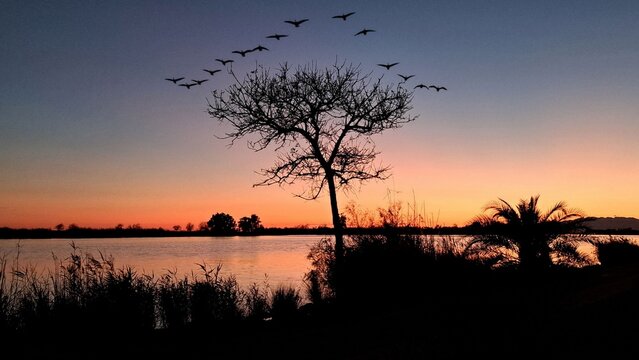 Delta de l'Ebre - posta de sol al Ebre - Baix Ebre