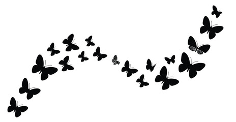 Group Of Butterflies In Curved Flight Path Silhouette White Background © PixelNest