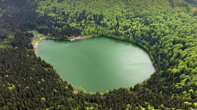 Aerial drone view over a forested slope toward a round crater lake, Lacul Sfanta Ana, Harghita, Transylvania, Romania.