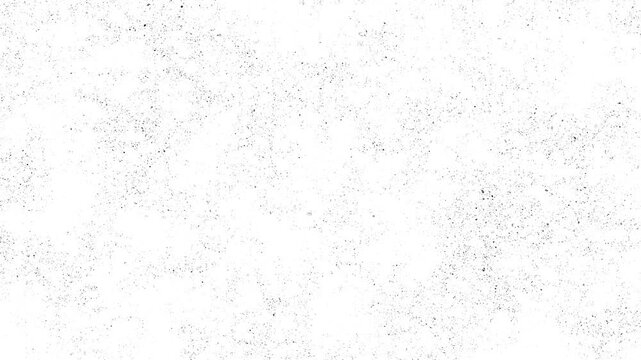 White textured background with subtle grain and speckles