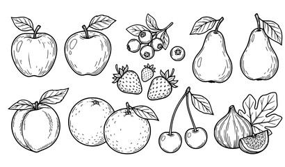 Hand drawn fruit vector set apples pears berries peach orange cherry fig line art illustration © sobuj