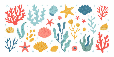 Coral seashells and marine plants vector illustration on white background © Promit