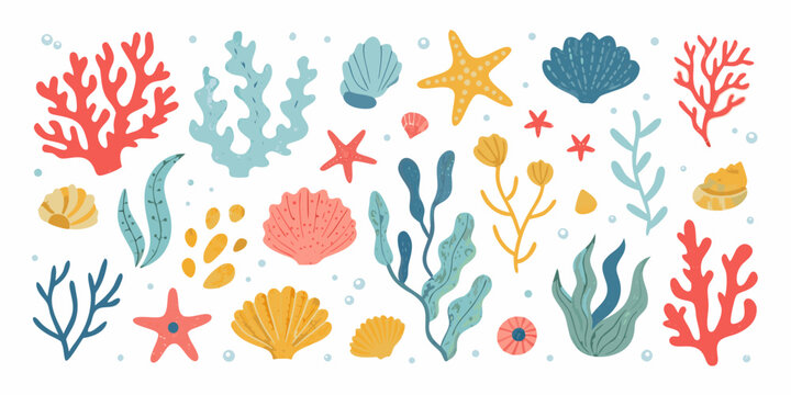 Coral seashells and marine plants vector illustration on white background