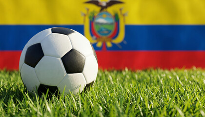 Naklejka premium Ecuador national football team soccer ball on lush green grass field with national flag background.