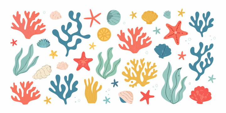 Coral starfish and seashells vector illustration on a white background