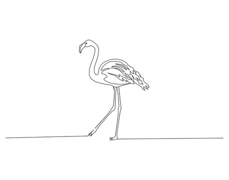 Flamingo continuous line. Continuous one line drawing of flamingo. Flamingo bird concept. Single line drawing