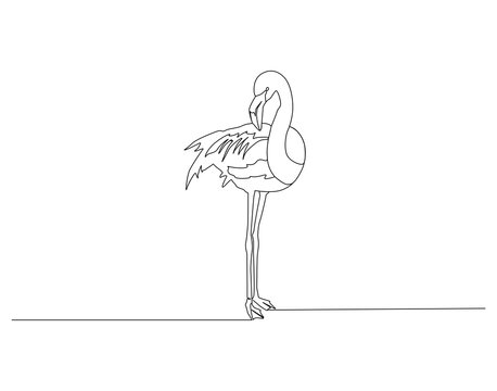 Flamingo continuous line. Continuous one line drawing of flamingo. Flamingo bird concept. Single line drawing