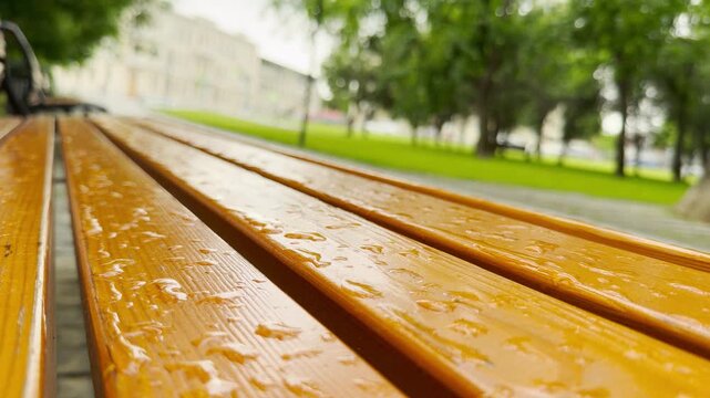 A wet wooden bench sits in a lush green park. Raindrops glisten on the wood, while cars scurry along the urban street in the blurred background.