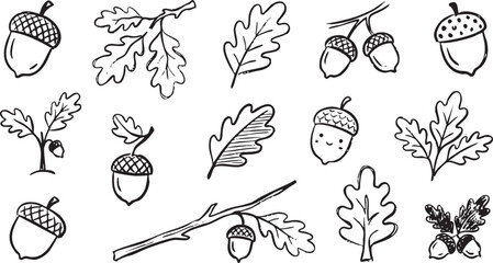 acorn leaf doodle set with black hand drawn lines and acorn icons on white background © Tahara