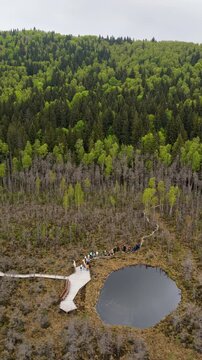Overhead aerial view of a dark bog pond with a boardwalk platform and visitors, Tinovul Mohos, Harghita, Romania.