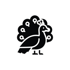 Fototapeta premium Simple black silhouette of a peacock with a fanned tail, isolated on a white background, featuring a stylized bird shape for use in nature, luxury, or decorative projects