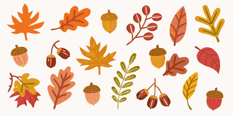 Autumn leaves acorns and berries vector illustration in warm earth tones © Sarojit