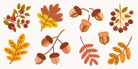 Autumn Leaves And Acorns Flat Vector Illustration With Warm Tones © Sarojit